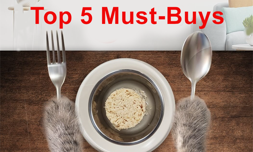 The 5 Must-Buy Bundles Of CatSmart’s Lunch Hour Flash Sales